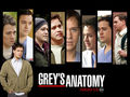 Grey`s Anatomy 52729579