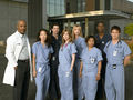 Grey`s Anatomy 52729611