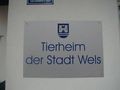 tierheim_wels - Fotoalbum