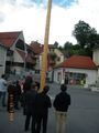 Maibaum umschneiden 09 62665622