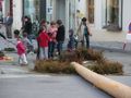 Maibaum umschneiden 09 62665730