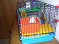 Katze und meis sweet hamster 54986974