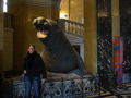 Naturhistorisches Museum/Wien 54645805