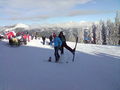 Snowboard und skiurlaub in Gosau!!! 53837684