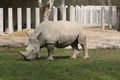 Zoo Schmiding 60054517