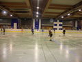 Eishockey 2010 72136625