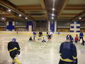 Eishockey 2010 72136977