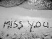 ~Miss you~ 53901485