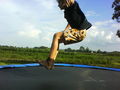 i am TrAmPoLiN 68634886