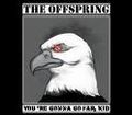 The Offspring 69267498