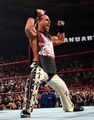 Shawn Michaels  73529162