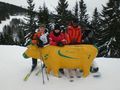 Skifahren Schladming 2009 63505597