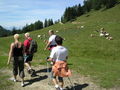 Wandern Windischgarsten 2008 63510210