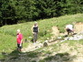 Wandern Windischgarsten 2008 63510213