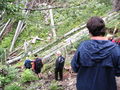 Wandern Windischgarsten 2008 63511219