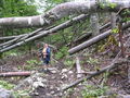 Wandern Windischgarsten 2008 63511222