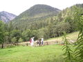 Wandern Windischgarsten 2008 63511426