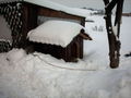 Schnee in Willibald 2008/2009 54396635