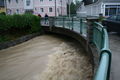 Hochwasser 2009! 61810441