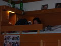 ZimMeR N° 4^^..........nUa lOl 15496255