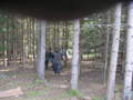 Paintball 33758749