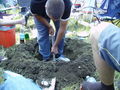 Novarock 2008 40043747