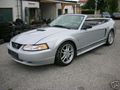 Ford Mustang GT !!! 53807541