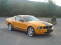 Ford Mustang GT !!! 53807564