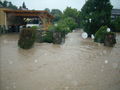 hochwasser09  61897868