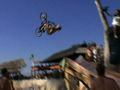 Nitro CIRCUS 62360243