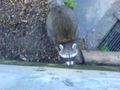 Tierpark 09.08.09 64708237