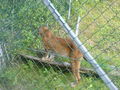 Tierpark 09.08.09 64708258