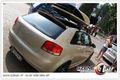 GTI Treffen  2009  62433212