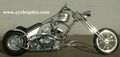 Custom Bikes 54144509