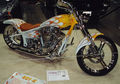 Custom Bikes 54144510