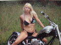 Custom Bikes 54144526