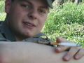 I im Bundesheer 54396623