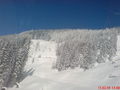 Ski Urlaub Schladming 2009 54272993