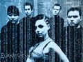 Evanescence 57061569