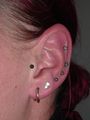 Helix/Tragus/Industrial etc. 54251605