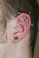 Helix/Tragus/Industrial etc. 54251630