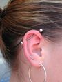 Helix/Tragus/Industrial etc. 54251632