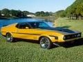 mustang mach1 55491637