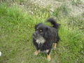 Mei scharfer Wachhund ;-) 56226439