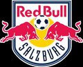 RED BULL 72985065