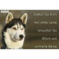 Hunde Bilder 67575154