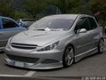 Peugeot 307 57043913