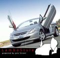 Peugeot 307 57043914