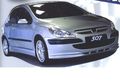 Peugeot 307 57043915