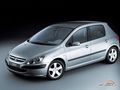 Peugeot 307 57043919